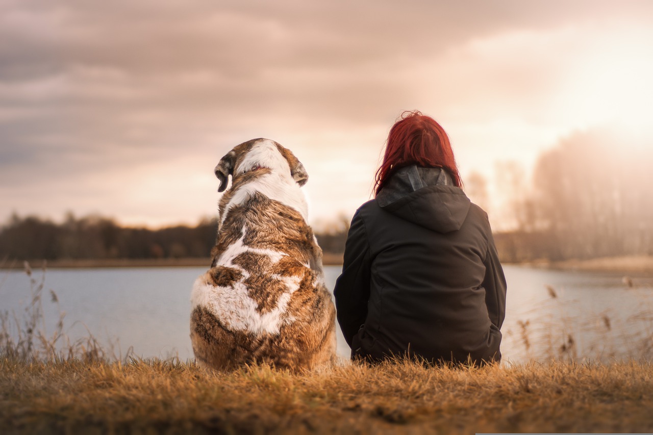 Deciding who gets the family pet(s) in a divorce can be a difficult decision